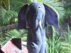 Elephant hand puppet large