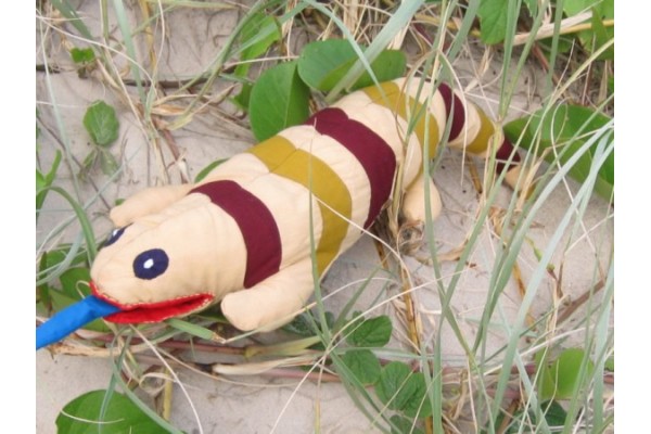 skink plush